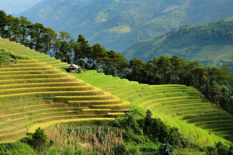 Asien Fernreisen für Individualreisen und Gruppenreisen