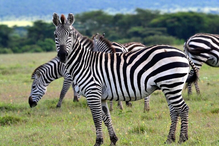 Südafrika Fernreisen für Individualreisen und Gruppenreisen